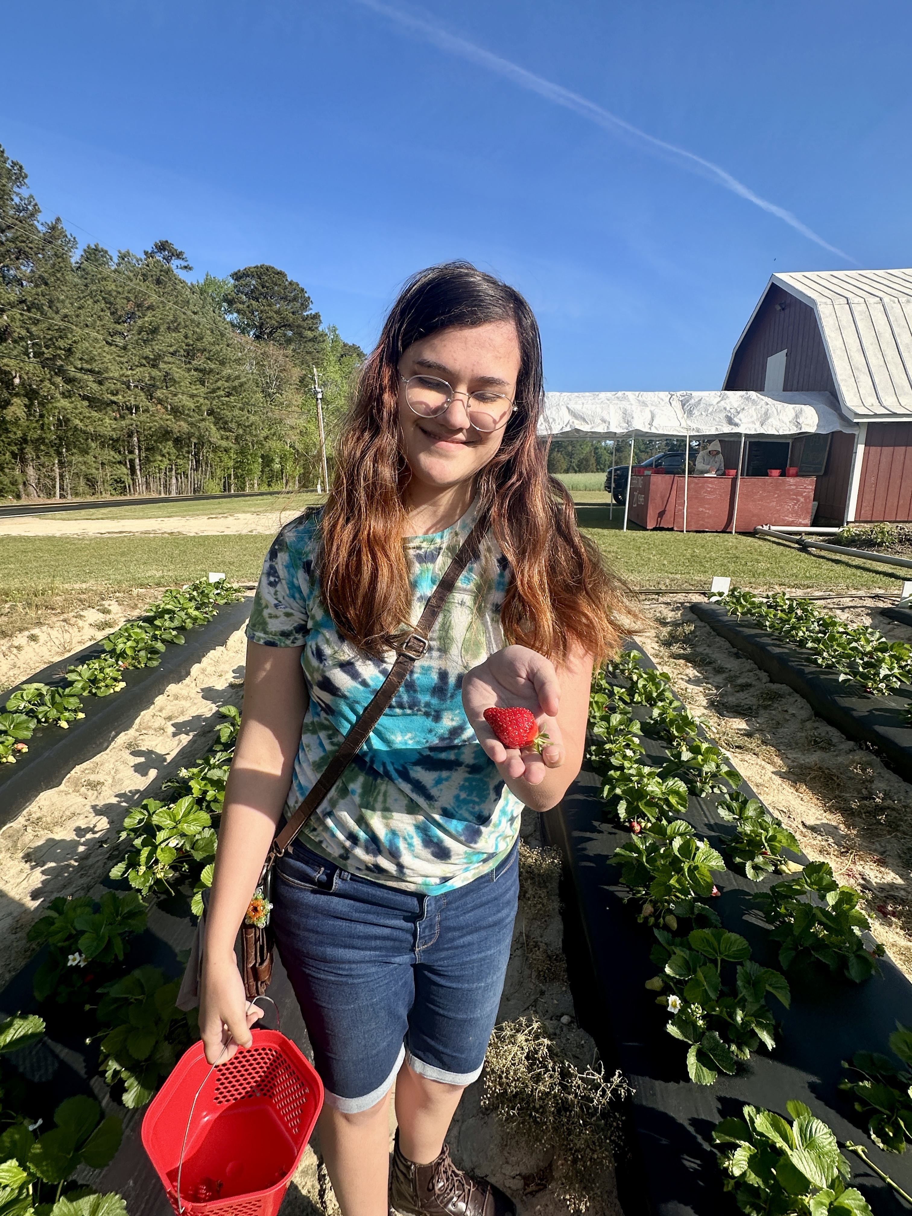 Strawberry Time